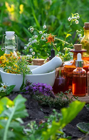 apport des medecines douces ancestrales